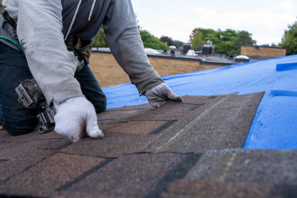 Best Roof Replacement Cost  in South Hill, VA