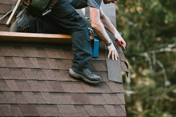 Best Roof Gutter Cleaning  in South Hill, VA