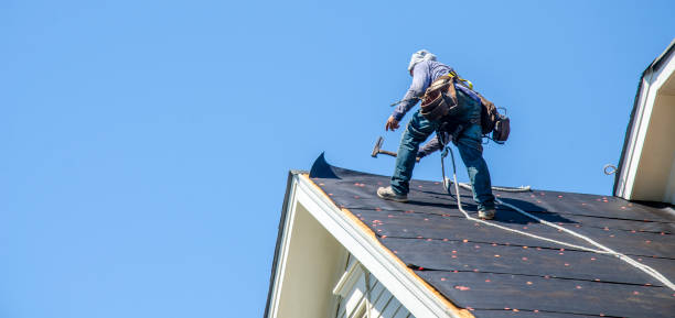 Best Shingle Roofing Installation  in South Hill, VA